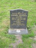 image of grave number 408382